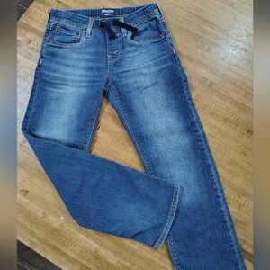 DENIZEN By Levi's Kids Jeans Size 12